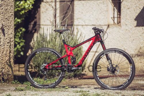 Cannondale Trigger  technische daten 
